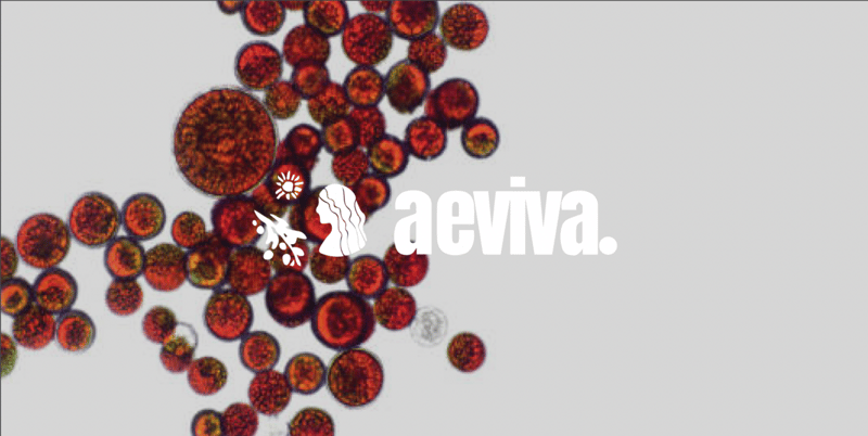 Nature’s Most Powerful Antioxidant: Is Astaxanthin the Key to Ageless Health?