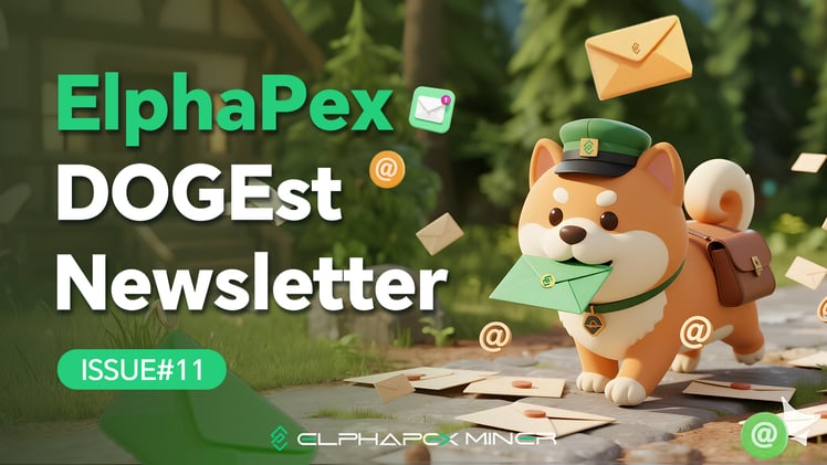 DOGEst Newsletter – Issue #11