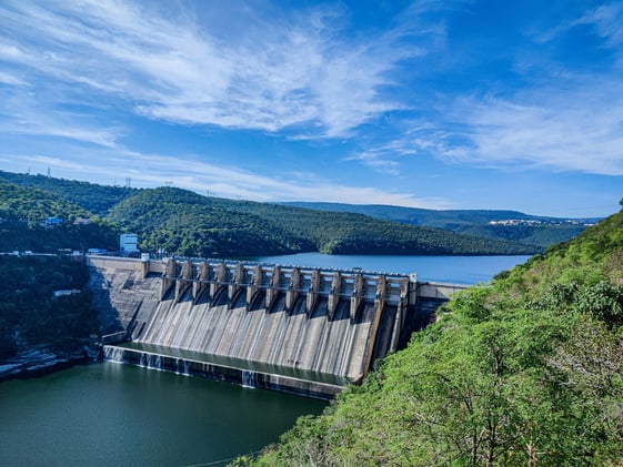 A 30-Year Fight for Salvation and Salmon