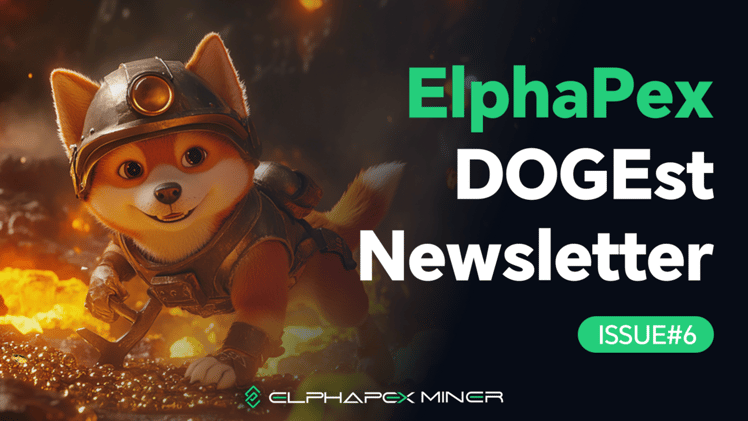 DOGEst Newsletter - Issue #6