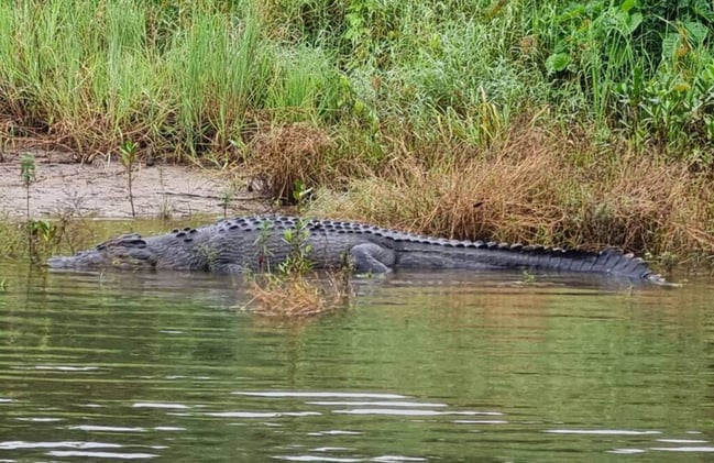 Newsport Alert Friday 22 August 2025