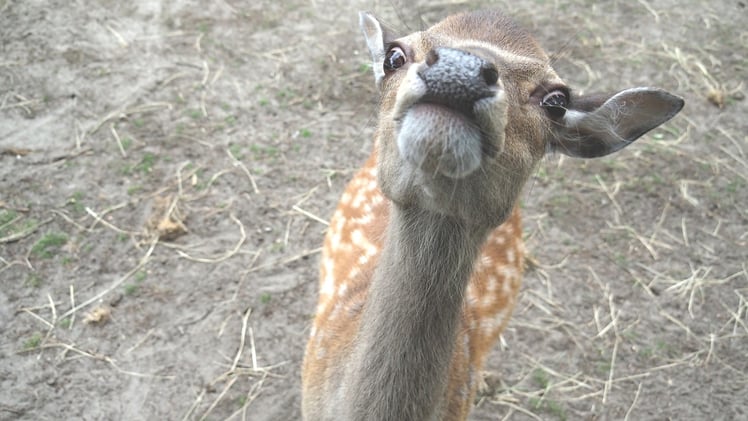 Are You Out of Your Mind?