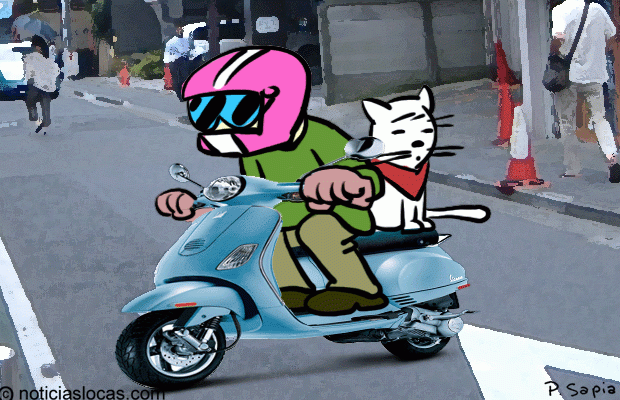 El dúo motoquero: un gato y su dueño