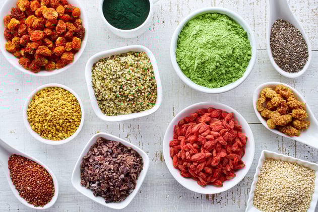 What’s Behind the Growing Alternative Protein Market?