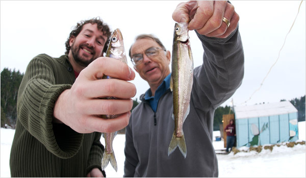 Those who smelt it...