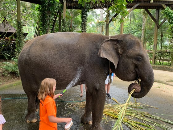Bouncing Around Bali