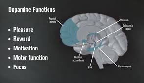 Ketones and Dopamine