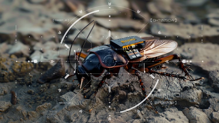 Bio-robotic spy roaches