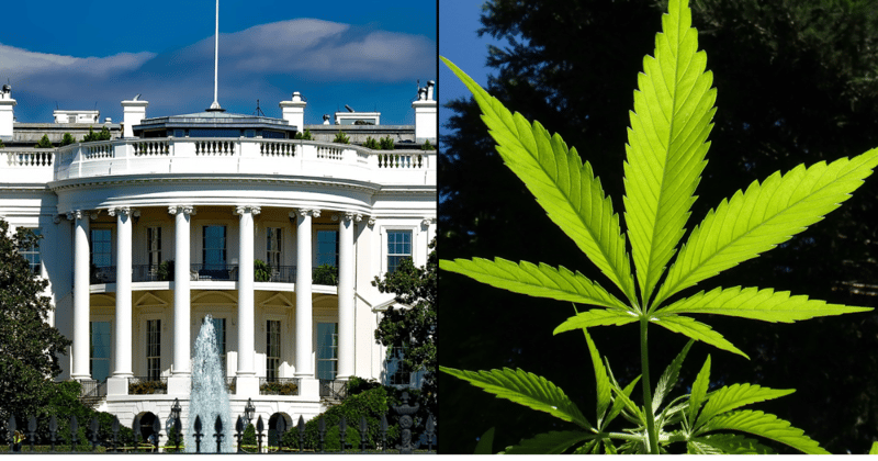 The Rush - April 18, 2024