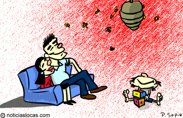 Familia convive con colmena de abejas hace 12 años
