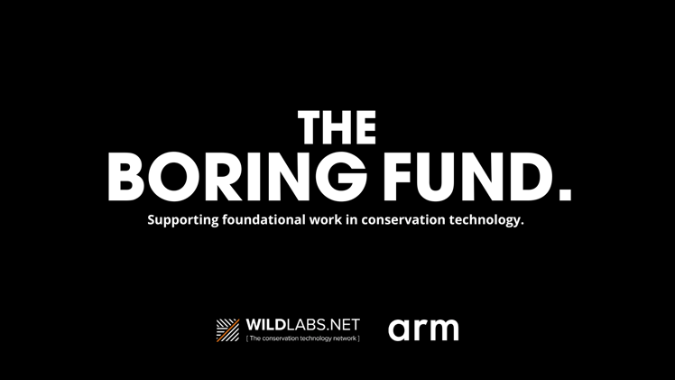 The Boring Fund 2025