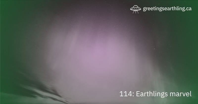 Transmission 114: Earthlings marvel