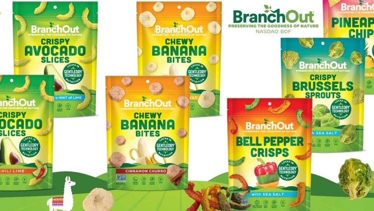BranchOut Food Strengthens Financial Position with Successful Sale of Senior Secured Promissory Notes and Warrants