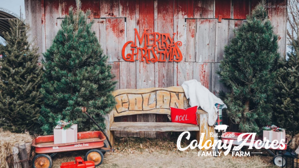 🦃 Nov. 27 - Dec. 1 | Your Johnson County Weekend Plans