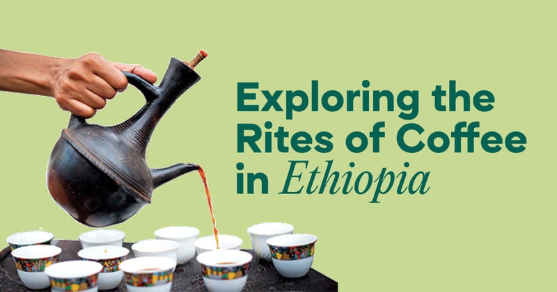 What I Learned About Coffee Living With Ethiopian Families for Two Months