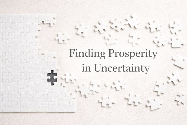 Finding Prosperity in Uncertainty