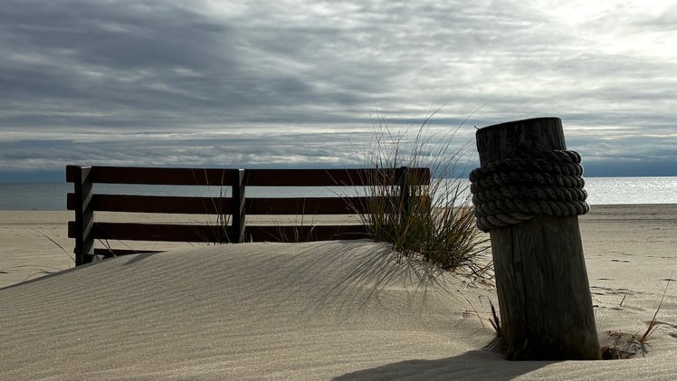 This Morning's Bulletin — 11.20.25