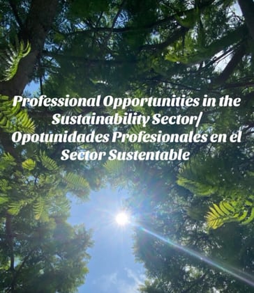 Sustainability Sin Fronteras - December 2024 