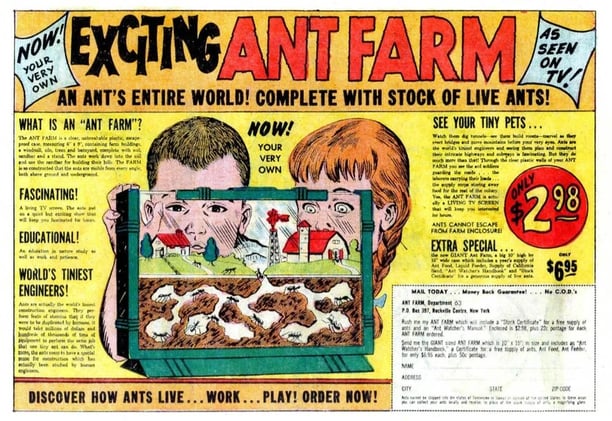 ANT FARM and PLANETARIUM