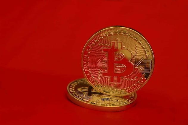 PawSwap (PAW) Market Cap Soars After Recent Manifold Listings: Details