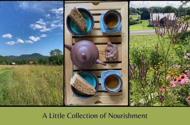 Volume 4, No. 28: A Little Collection of Nourishment