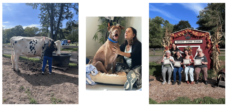 A Season of Gratitude, Growth, and Gentle Turning Inward 