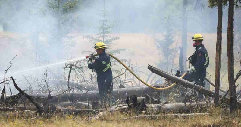 📢 Wildfire Help