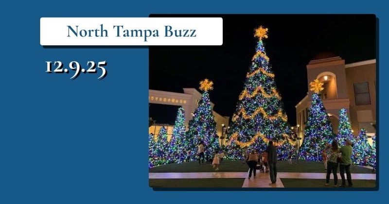 🎄 Holiday Lights, New Openings and Stella Got Adopted