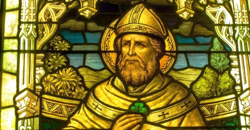 Beyond Shamrocks Saint Patrick's True Story