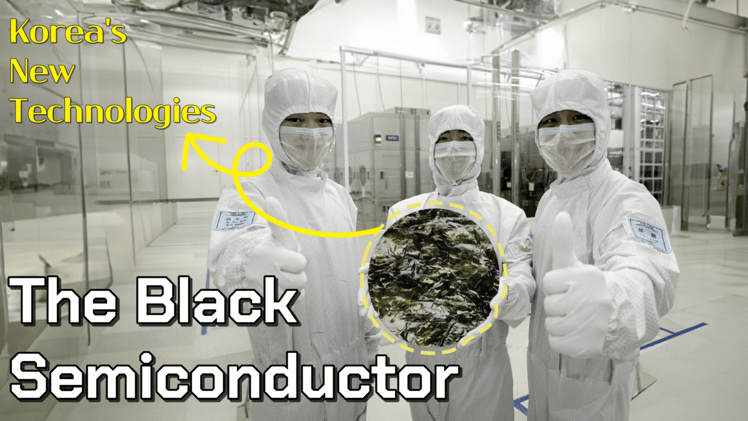 Do you know Korea's 'black semiconductor'?