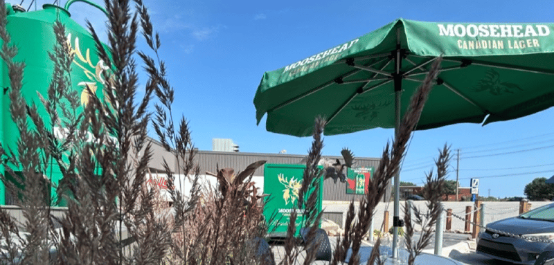 ✖️ The bottom of the bottle 