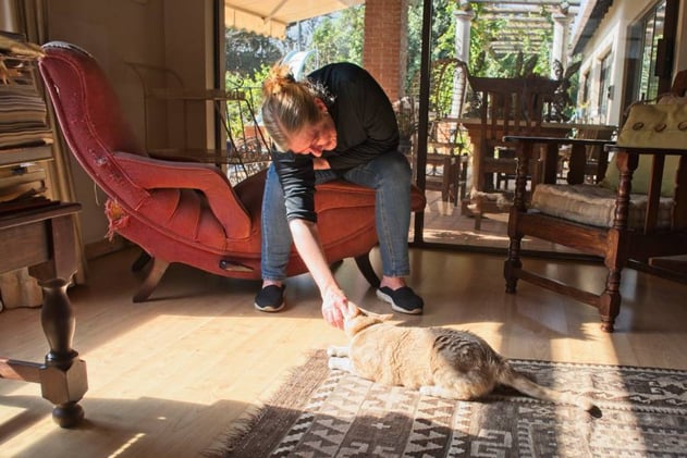 Are You Making These Costly Mistakes With Your Cat?