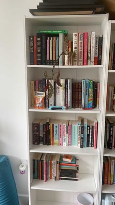 To Be Read Shelves