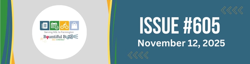 🌌 Light Amid the Storm — A Week of Loss, Love, and Northern Lights