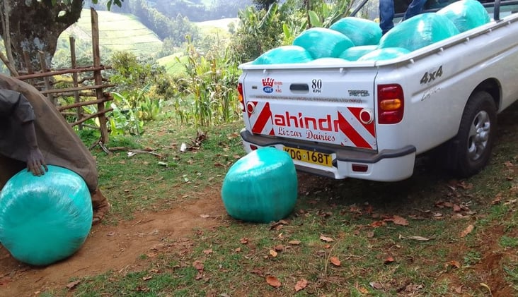 Silage for Sale in Kenya Prices & Suppliers Near You