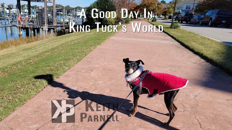 A good day in King Tuck’s world