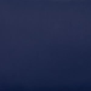 The Era of AI Explainability