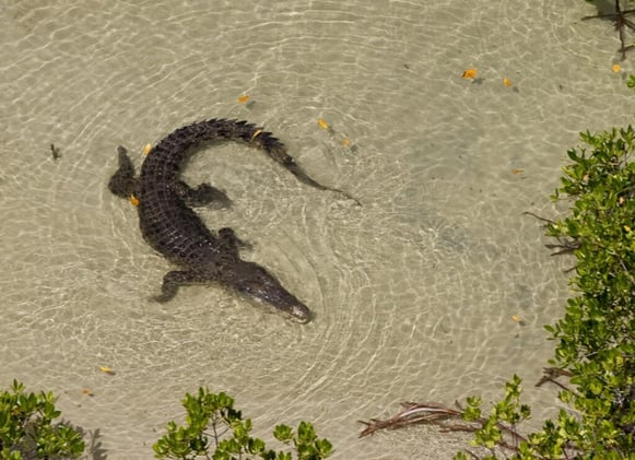 Newsport Alert Monday 24 March 2025