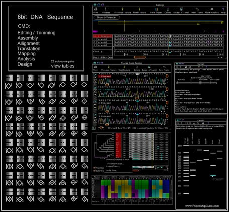 neoduality _ 0002 _ altered human