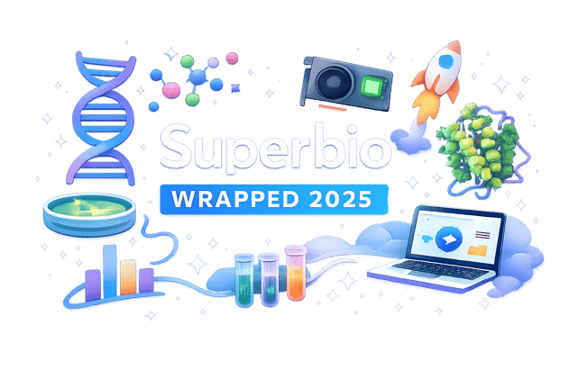 🍬 Superbio Wrapped 2025