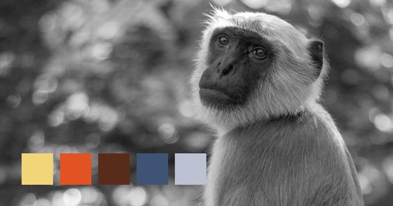 Apeldoorn, Nederland