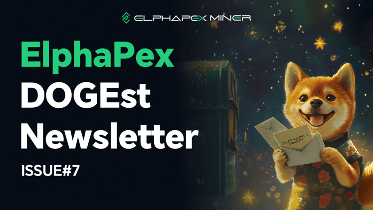 DOGEst Newsletter – Issue #7
