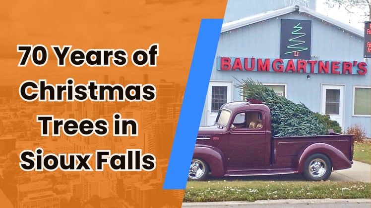 🧊 Ice Fest, DJ parties, tree strolls: what’s happening now