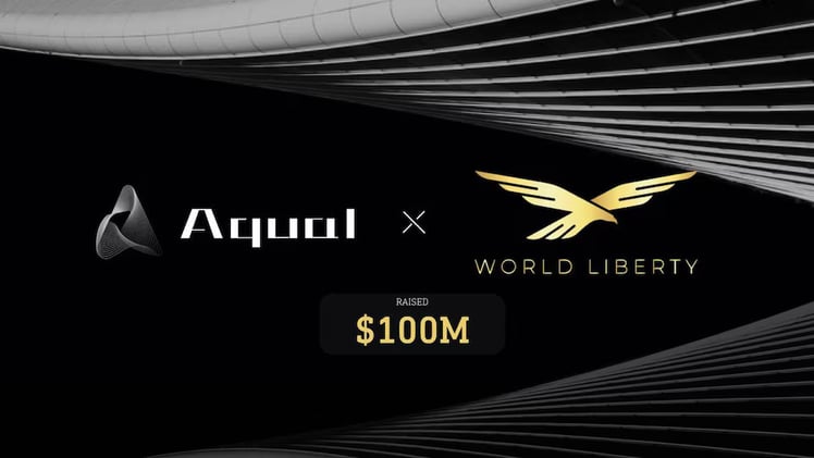 $100M World Liberty Investor Linked to Banned Web3Port