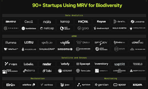 🌳 120 Talents Scaling MRV for Biodiversity