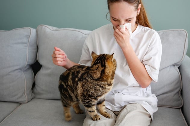 How to Tell If You’re Allergic to Cats