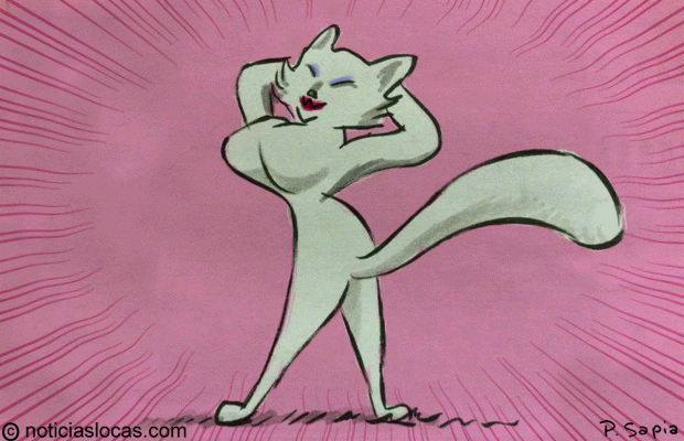 Publican un libro de poses sexys... de gatos