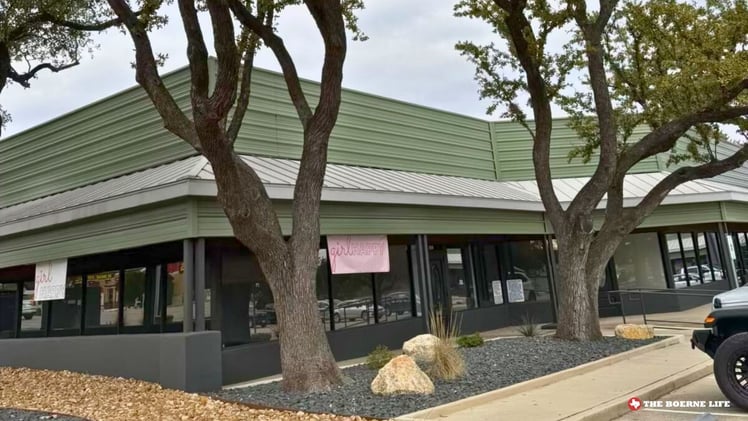 👉Crazy Sandwiches + Greyhound Pride + New Shop on Main