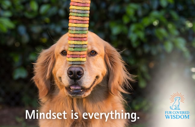 Mindset is Everything 