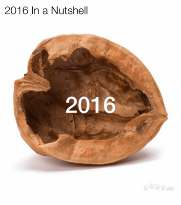 2016 in a nutshell